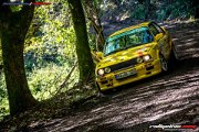 50.-nibelungenring-rallye-2017-rallyelive.com-0747.jpg